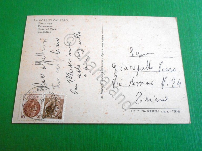 Cartolina Morano Calabro ( Cosenza ) - Panorama 1977.