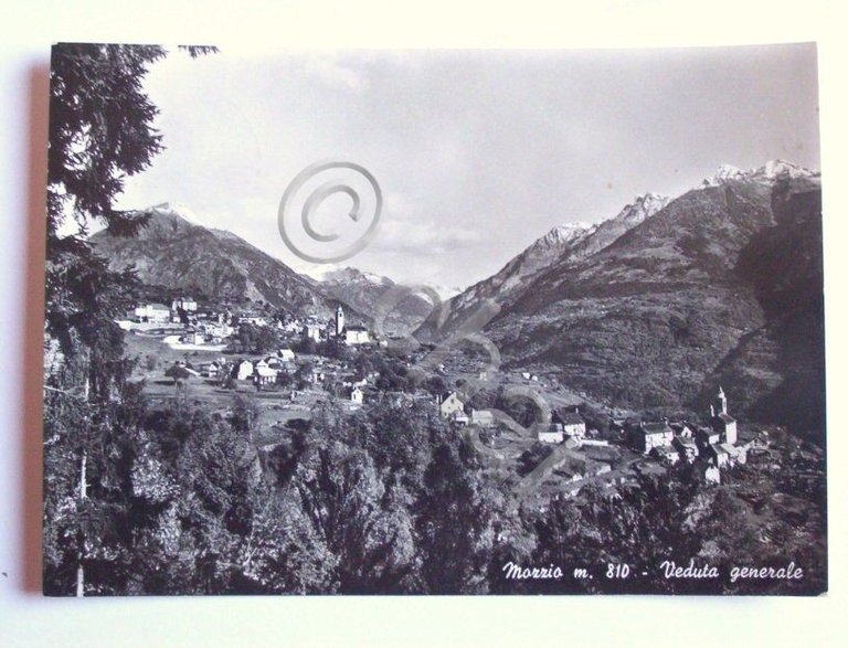 Cartolina Mozzio -- Panorama --1964