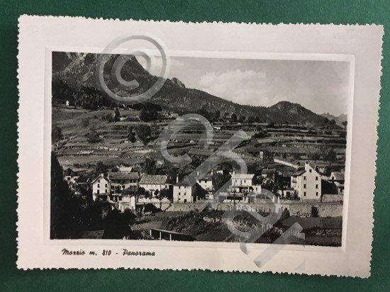 Cartolina Mozzio m.810 - Panorma - 1951 | Immagine Gallery 3