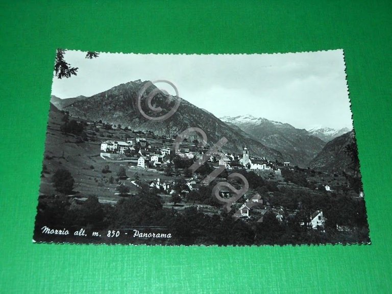 Cartolina Mozzio ( Verbania ) - Panorama generale 1950 ca