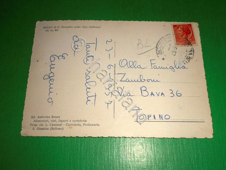 Cartolina Muiac di S. Gregorio nelle Alpi ( Belluno ) …