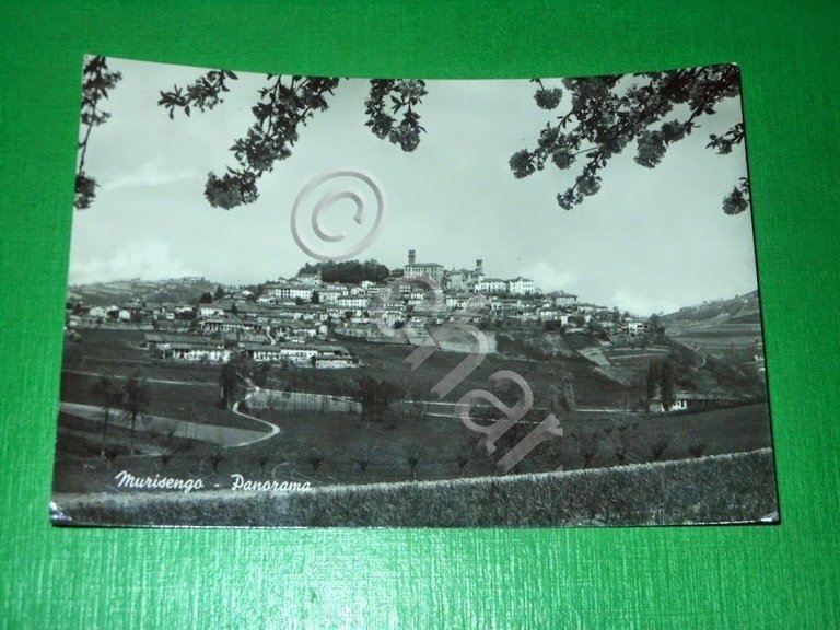 Cartolina Murisengo - Panorama 1963