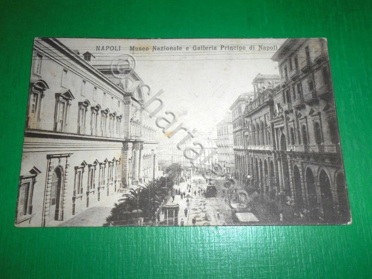 Cartolina Napoli - Museo Nazionale e Galleria Principe di Napoli …