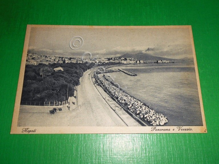 Cartolina Napoli - Panorama e Vesuvio 1935 ca