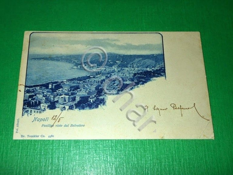 Cartolina Napoli - Posillipo visto dal Belvedere 1900.