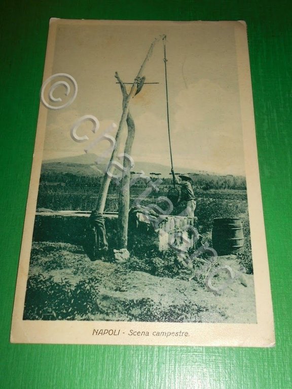 Cartolina Napoli - Scena campestre 1917