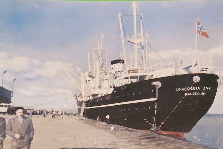 Cartolina Navi - M/S Concordia Star - 1965 ca.