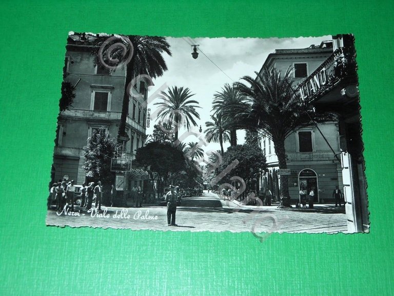 Cartolina Nervi - Viale delle Palme 1952