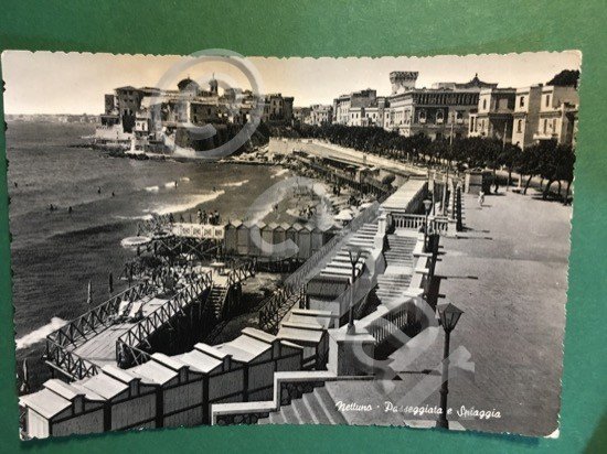 Cartolina Nettuno - Passeggiata E Spiaggia - 1958