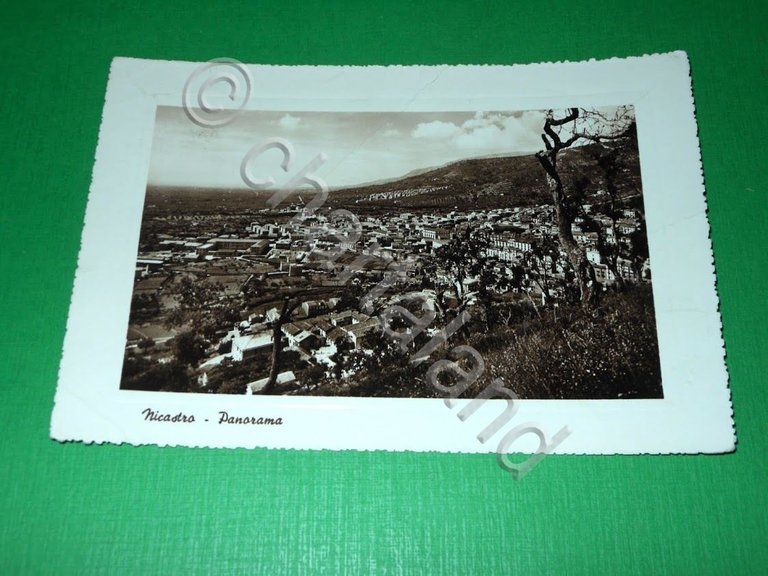 Cartolina Nicastro - Panorama 1950 ca