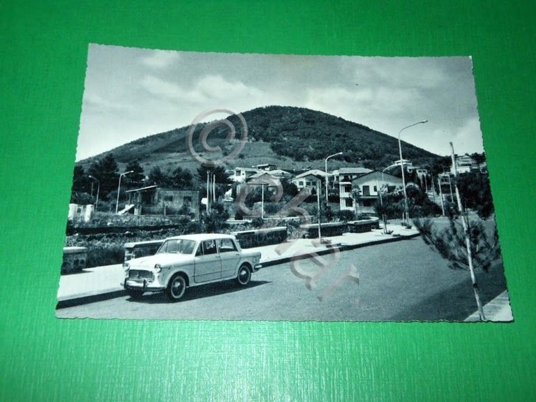 Cartolina Nicolosi - Viale della Regione e Monti Rossi 1955 … | Immagine Gallery 2