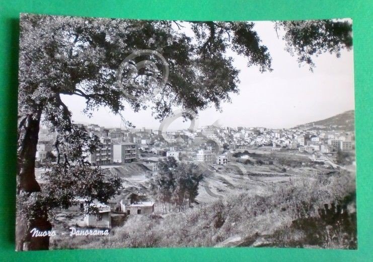 Cartolina Nuoro - Panorama - 1964
