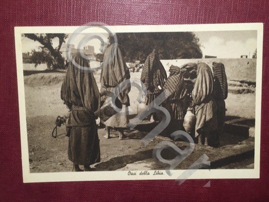 Cartolina Oasi della Libia + 1930 ca.