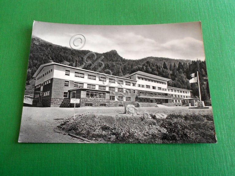 Cartolina Opera Diocesana Assistenza Gorizia - Colonia Alpina di Forni …