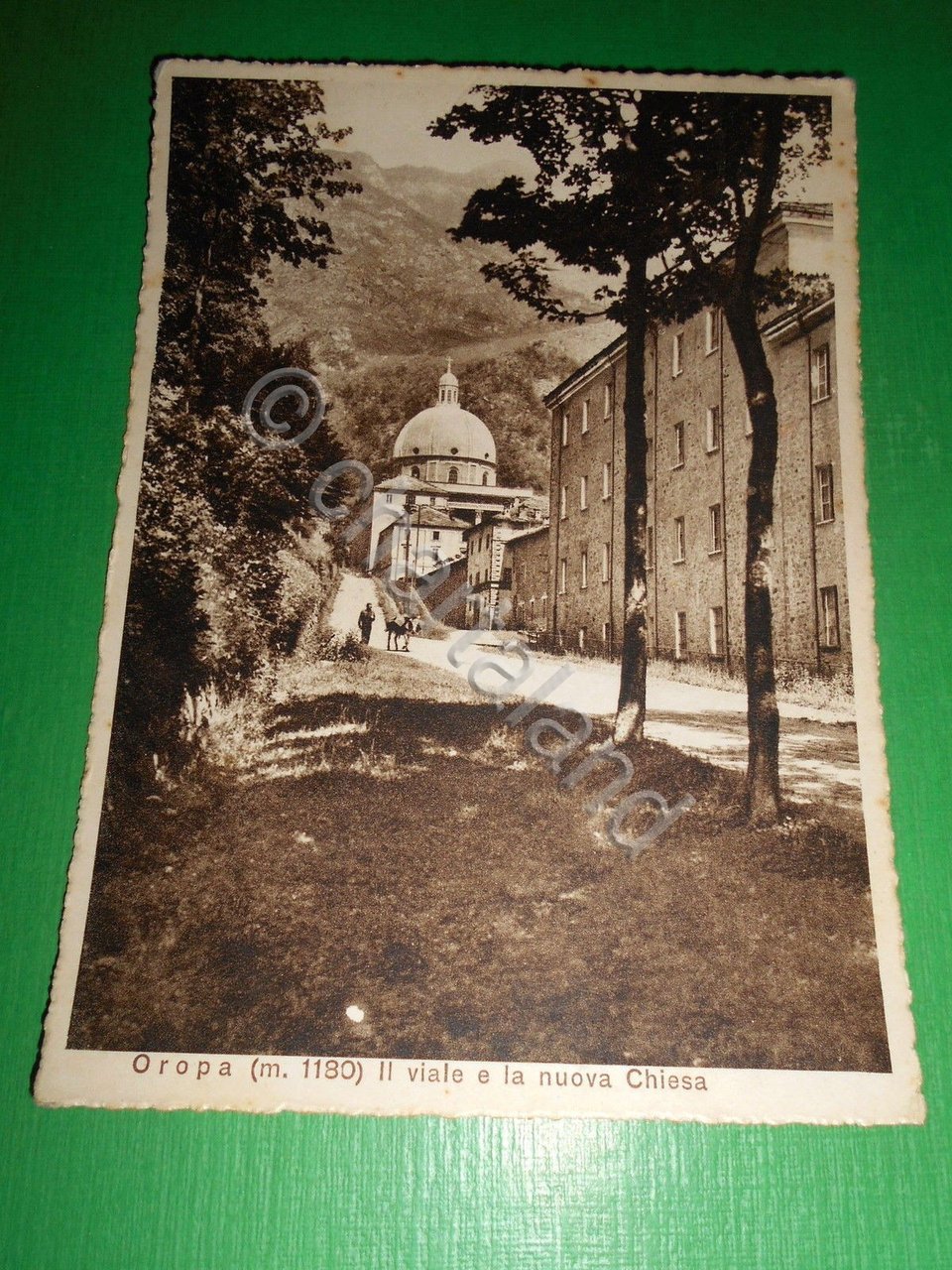 Cartolina Oropa - Il viale e la nuona Chiesa 1951.