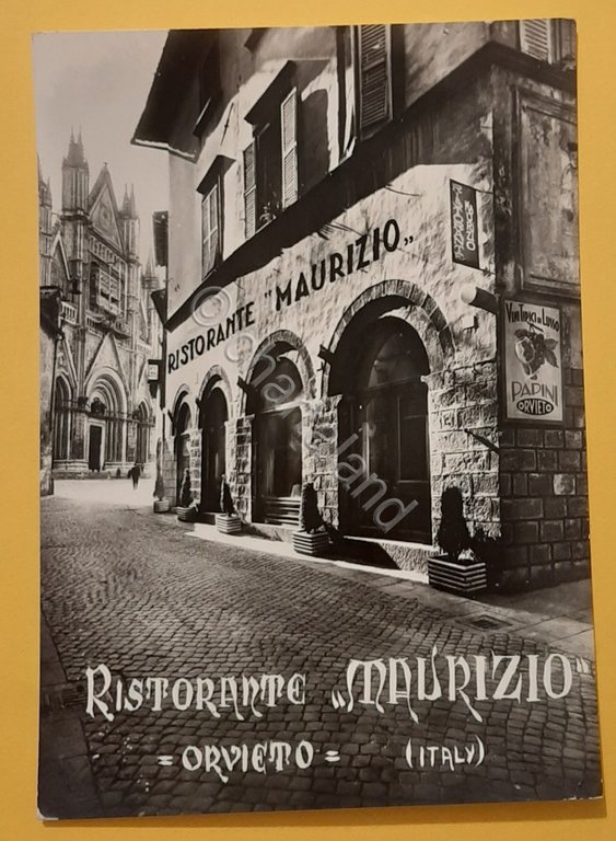 Cartolina Orvieto - Ristorante Maurizio - 1965
