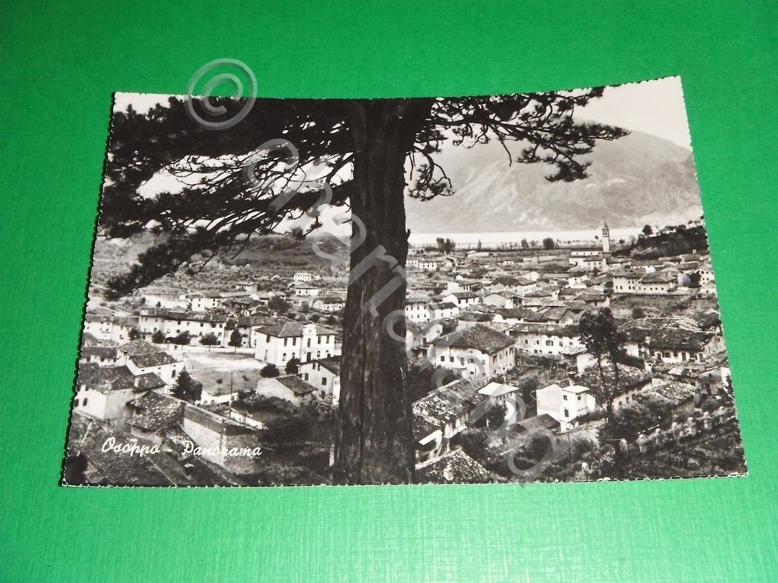 Cartolina Osoppo - Panorama 1965.