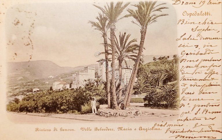 Cartolina Ospedaletti Riviera di Genova - Ville Belvedere Maria e …