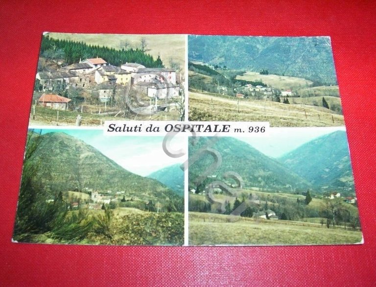 Cartolina Ospitale Nel Frignano - Vedute diverse 1982