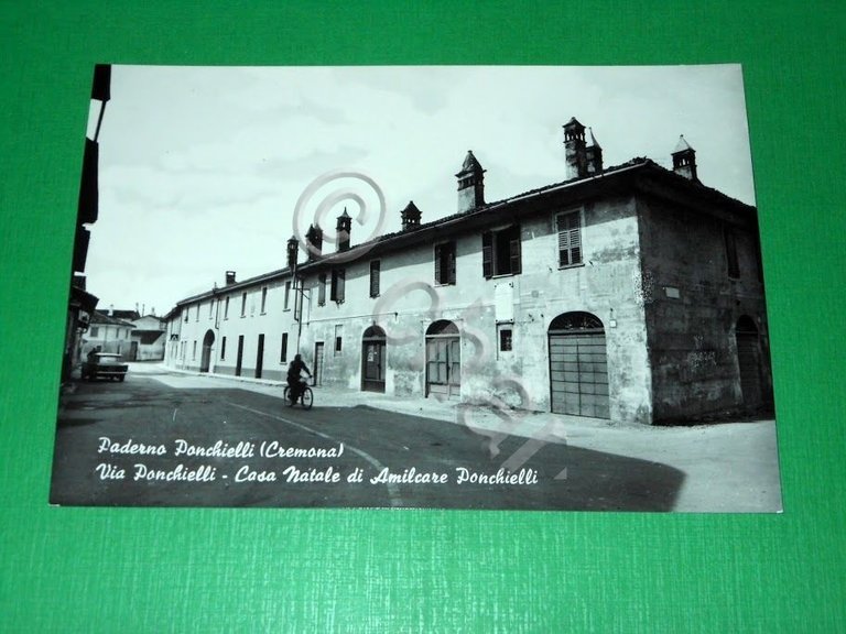Cartolina Paderno Ponchielli ( Cremona ) - Via Ponchielli - …