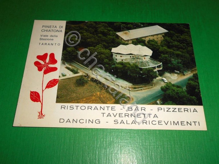Cartolina Palagiano ( Taranto ) - Pineta di Chiatona - …