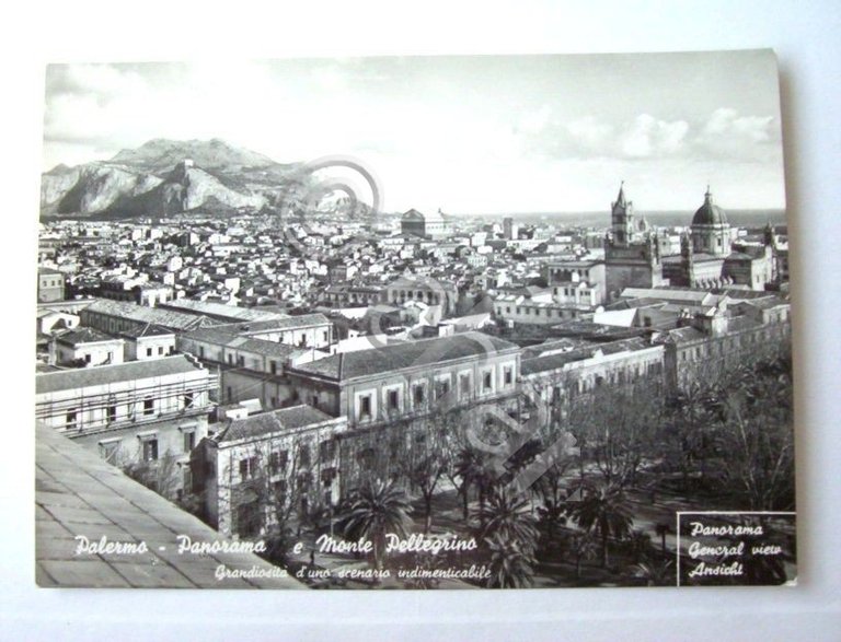 Cartolina Palermo - Panorama e Monte Pellegrino 1950 ca | Immagine Gallery 2