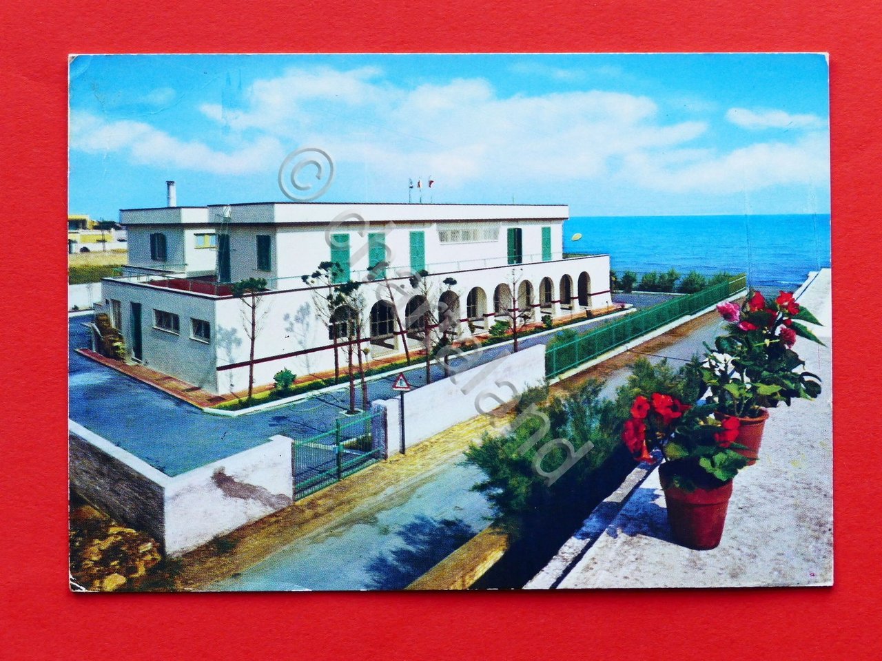 Cartolina Palese - Ostello di Levante - 1983.