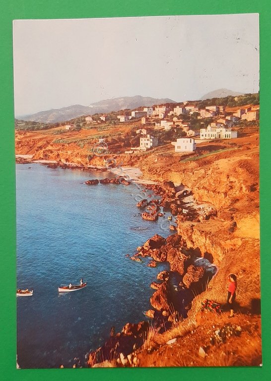 Cartolina Palinuro - Panorama - 1960