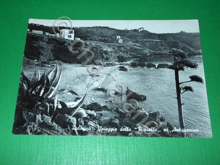Cartolina Palinuro - Spiaggia della Ficocella ed Antiquarium 1961