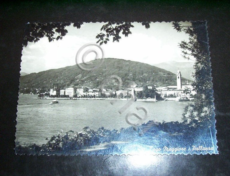 Cartolina Pallanza ( Lago Maggiore ) - Panorama 1958