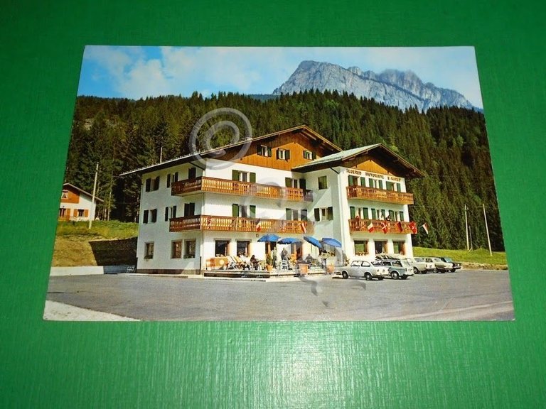Cartolina Palus S. Marco ( Auronzo di Cadore ) - …