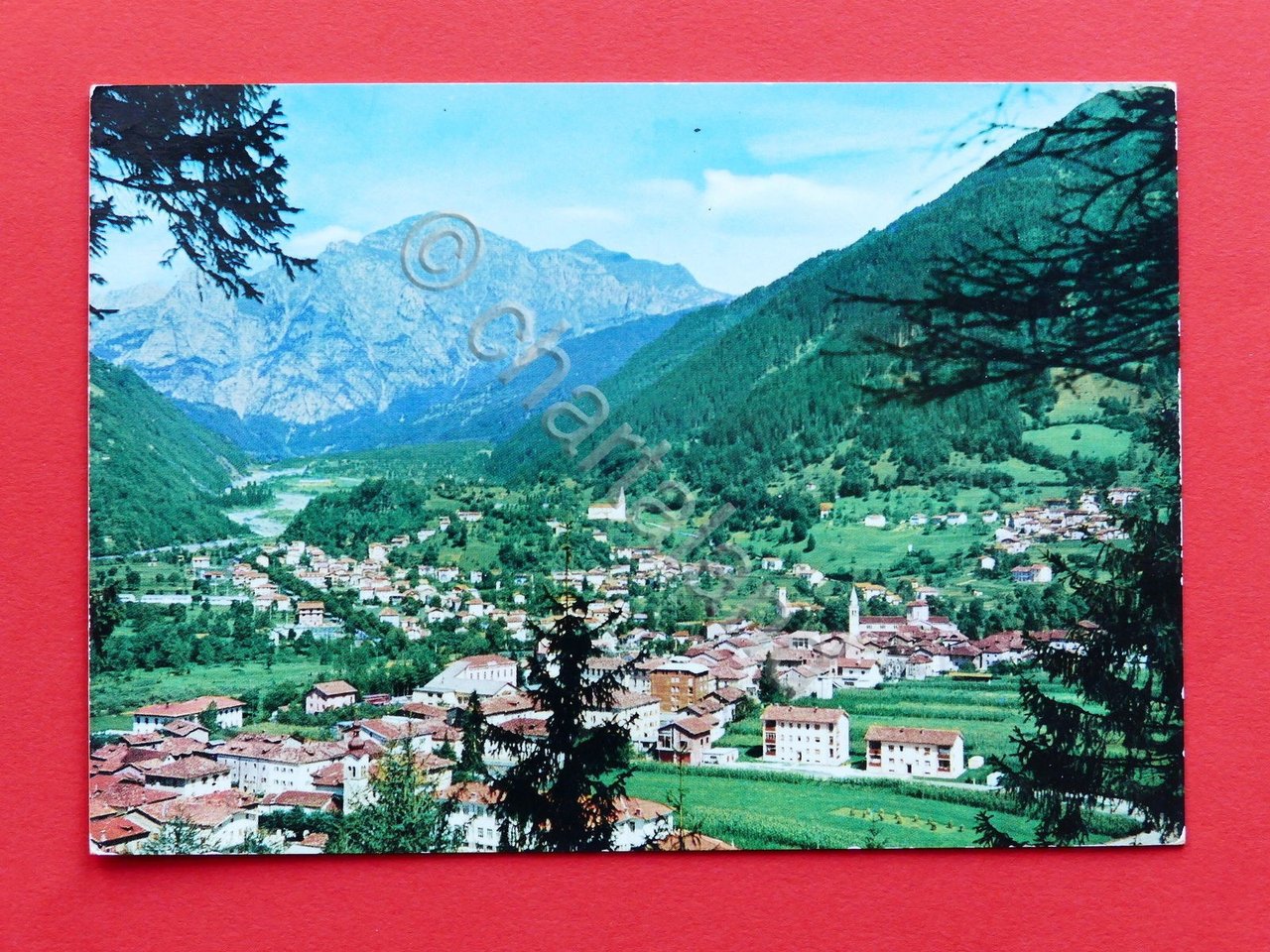Cartolina Paluzza - Panorama - 1967.
