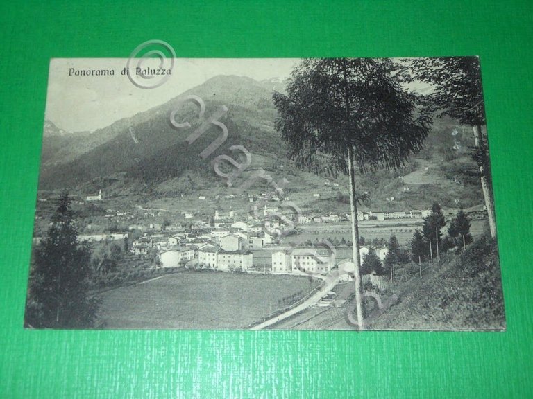 Cartolina Paluzza ( Udine ) - Panorama 1915