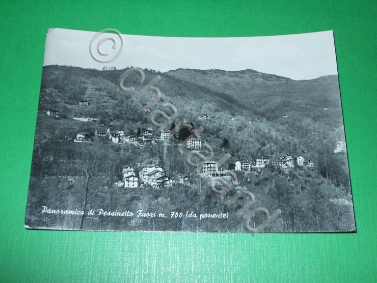 Cartolina Panoramica di Pessinetto Fuori ( da ponente ) 1950 …