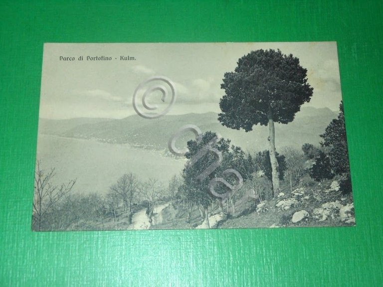 Cartolina Parco di Portofino - Kulm 1910 ca