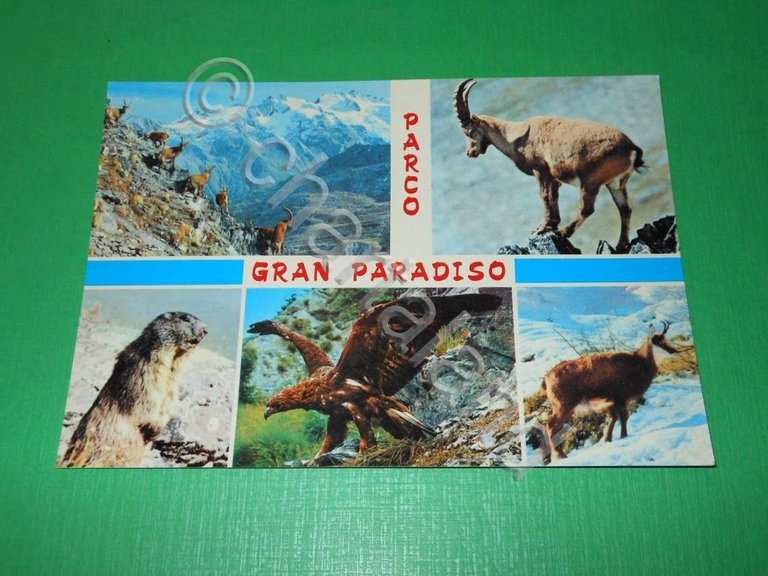Cartolina Parco Gran Paradiso - Vedute diverse 1965 ca | Immagine Gallery 2