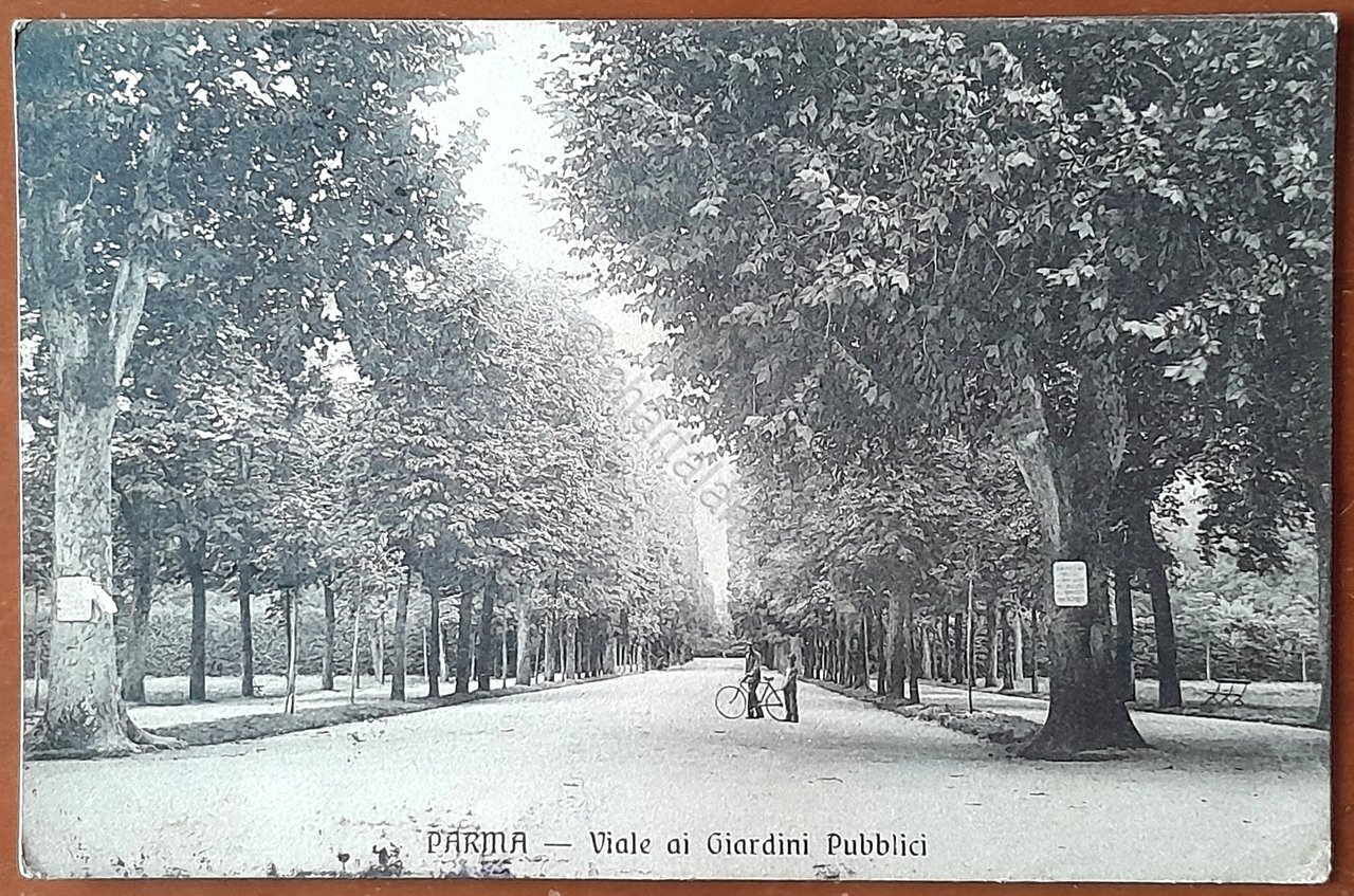 Cartolina Parma - Viale ai Giardini Pubblici - 1914 | Immagine principale