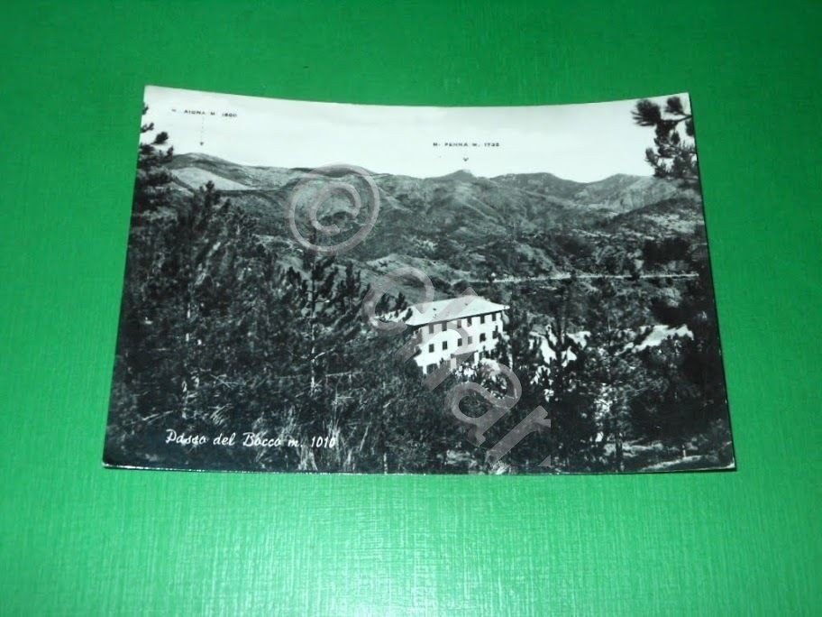 Cartolina Passo del Bocco - Albergo Ristorante Lusardi 1964.
