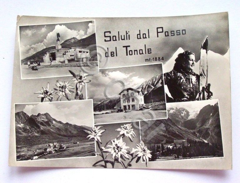 Cartolina Passo del Tonale - Vedute diverse 1956