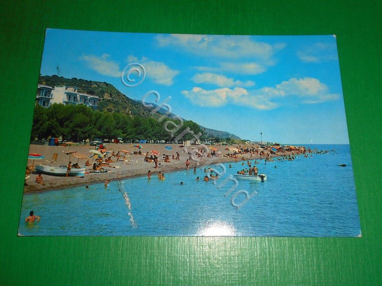 Cartolina Patti Marina ( Messina ) - Pineta sul mare …