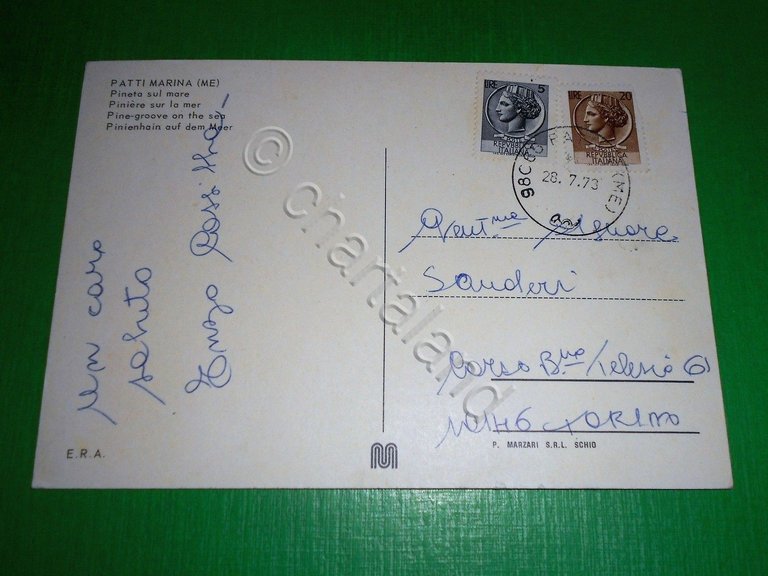 Cartolina Patti Marina ( Messina ) - Pineta sul mare …