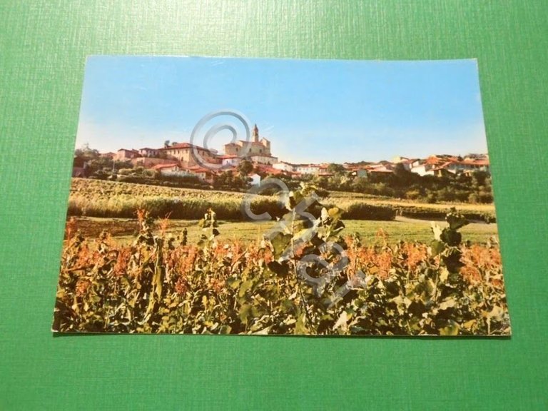 Cartolina Pecetto ( Alessandria ) - Panorama 1973