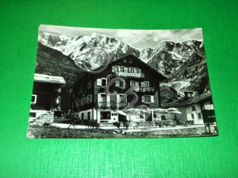 Cartolina Pecetto di Macugnaga - Albergo Edelweiss 1959 | Immagine Gallery 2