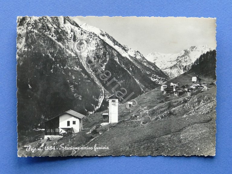 Cartolina Pejo - Stazione arrivo funivia - 1955