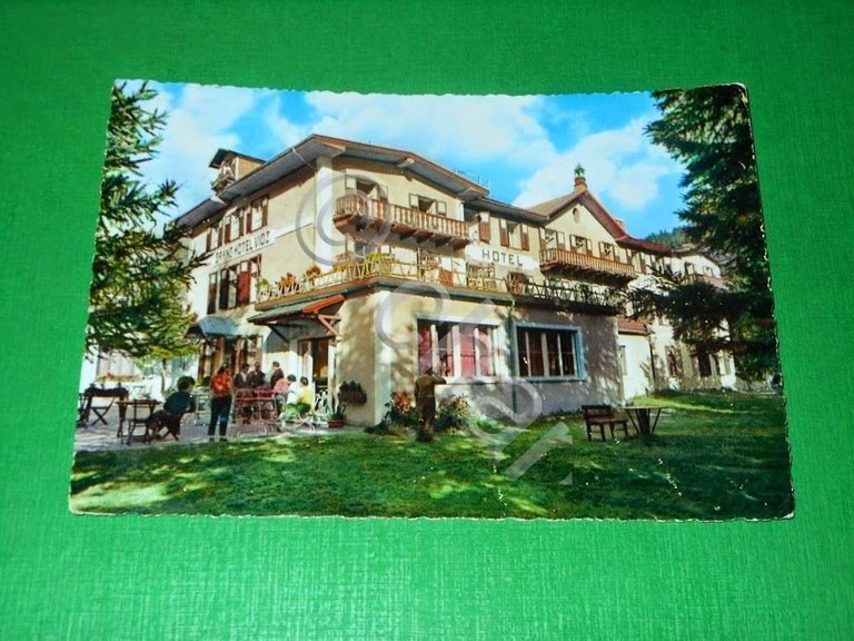 Cartolina Pejo - Trento - Grand Hotel Vioz 1957.