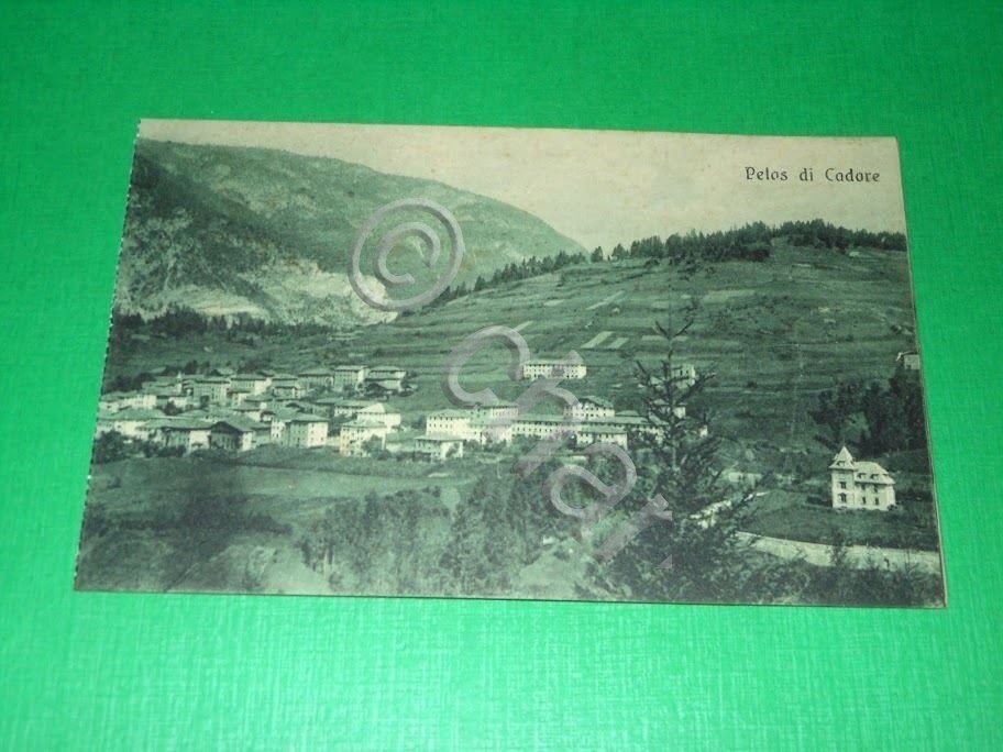 Cartolina Pelos di Cadore ( Belluno ) - Panorama 1920 …
