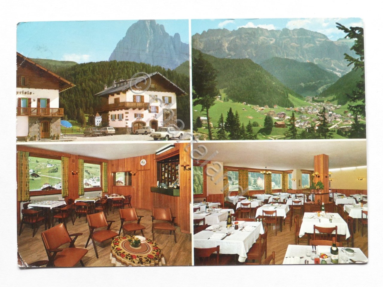 Cartolina Pensione Il Capriolo - Plan da Thiesa - Selva …