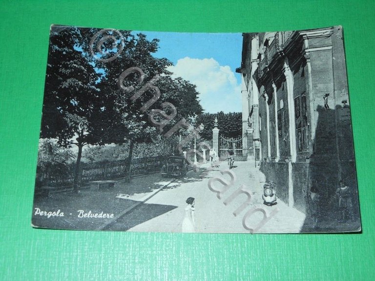 Cartolina Pergola - Belvedere 1955