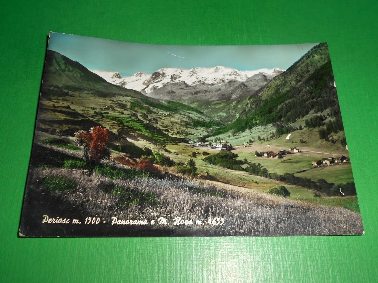 Cartolina Periasc - Panorama e M. Rosa 1958.