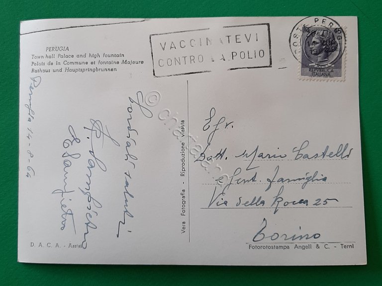 Cartolina Perugia - Palazzo Comunale e Fontana Maggiore - 1964